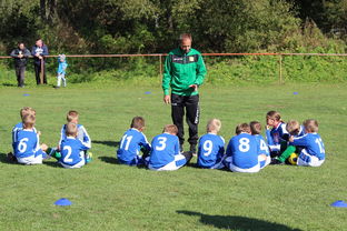 开云体育彩票开云体育福利-中国篮球教练员战术创新能力培养及培训机制研究，全国篮球教练员岗位培训